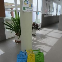 Proyecto RECICOLE